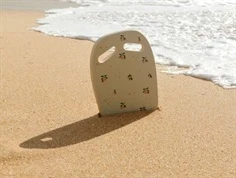 Liewood Hayden svømmebræt sea shell med fersken print